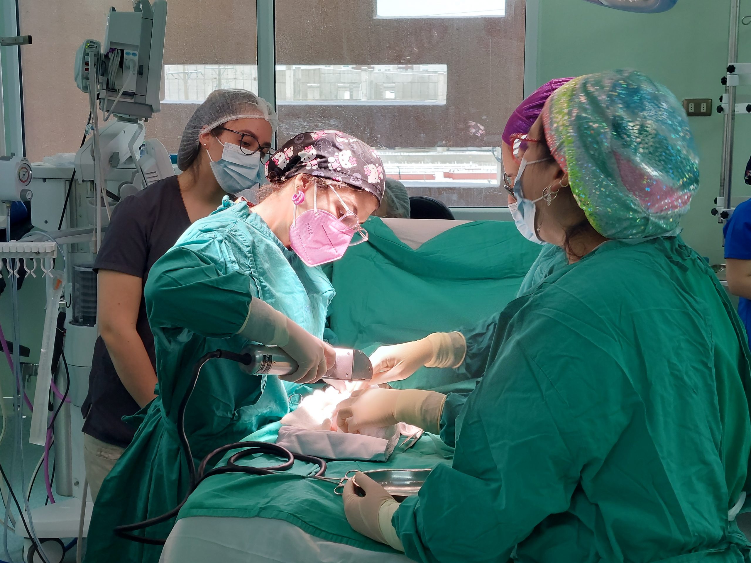 Hospital Clínico de Magallanes realizó primeros injertos de cuero cabelludo pediátricos en la región