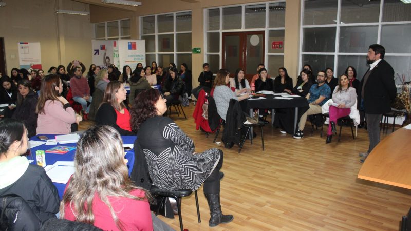 Conversatorio sobre Trastorno del Espectro Autista fue realizado por la Secretaría Regional Ministerial de Educación en Punta Arenas
