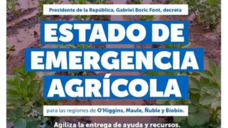 Gobierno declara emergencia agrícola para 117 comunas entre las regiones de O’Higgins y Biobío por efectos del sistema frontal