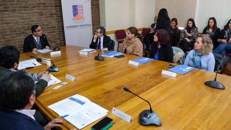 Con éxito se constituyó en Magallanes el Consejo Regional de Capacitación