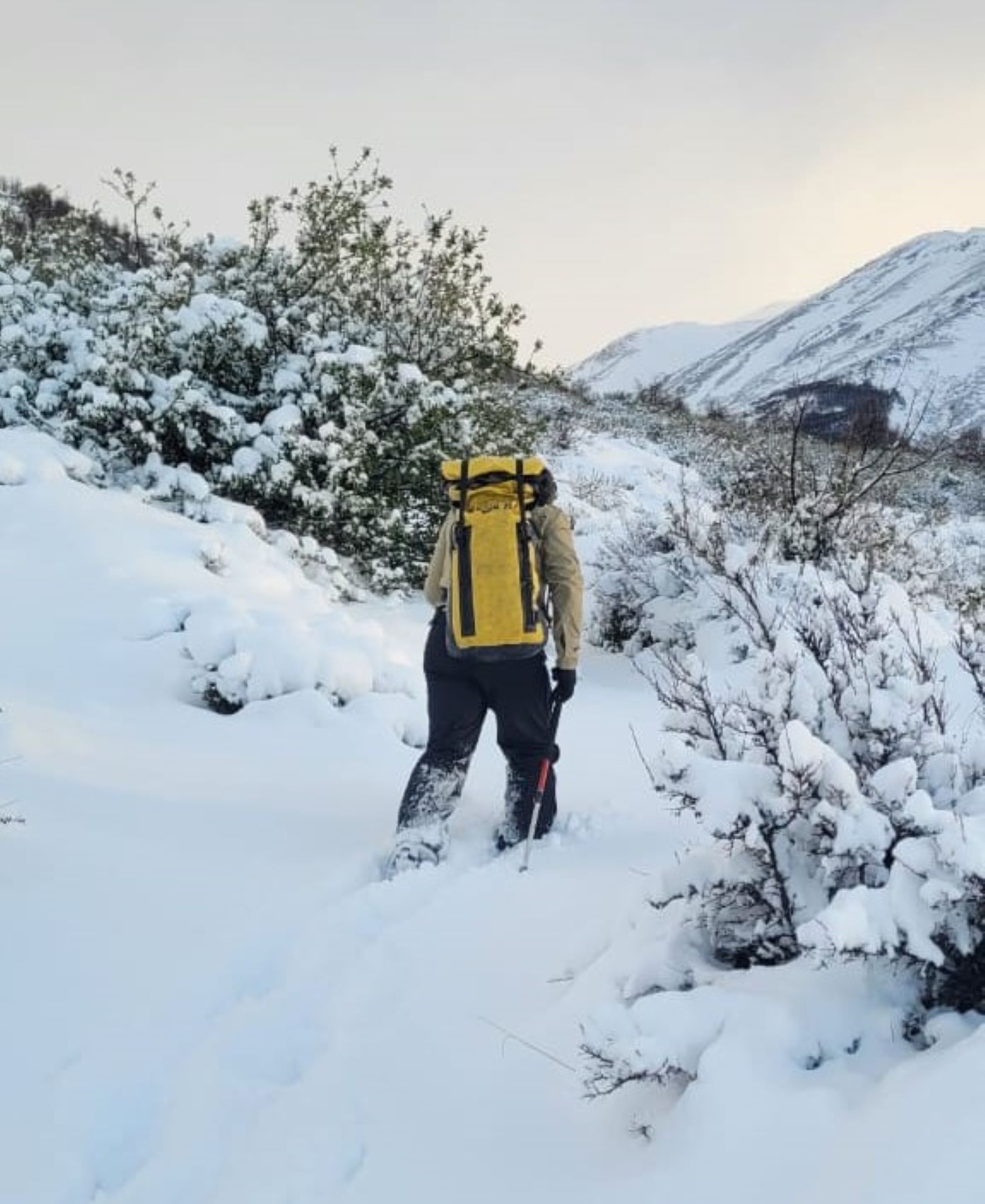Ante emergencia climática, Reserva Nacional Magallanes cierra al público | Monumento Natural Cueva del Milodón y Parque Nacional Torres del Paine se mantienen abiertos con restricción de acceso senderos