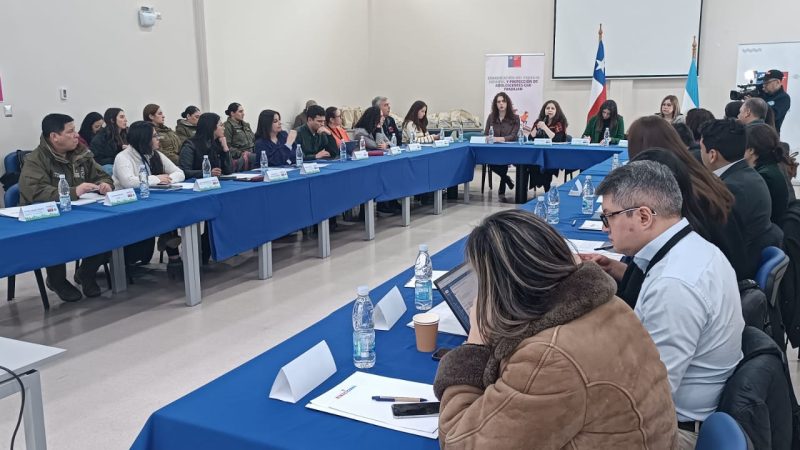 Seminario binacional austral aborda nuevas estrategias para erradicar el trabajo infantil