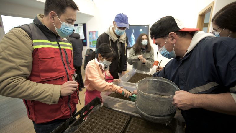 HIF Chile celebra con jóvenes de Unpade donación de árboles nativos