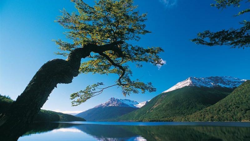 Chubascos de nieve y aguanieve pronostican este domingo 13 de agosto en Magallanes