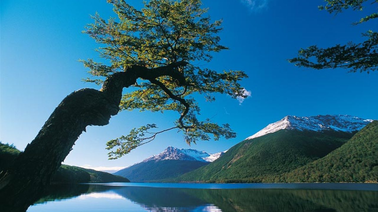 Chubascos de nieve y aguanieve pronostican este domingo 13 de agosto en Magallanes