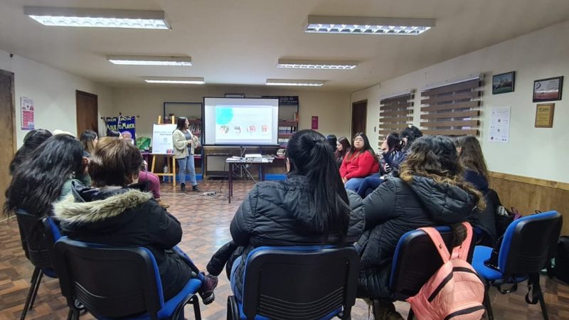 Programa Jefas de Hogar de Puerto Natales realizó capacitación con la Municipalidad y SERNAMEG