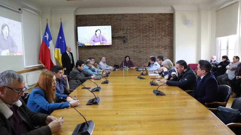 Consejo Regional aprueba por unanimidad financiar mejoramiento para calles en Villa Cerro Castillo de Ultima Esperanza