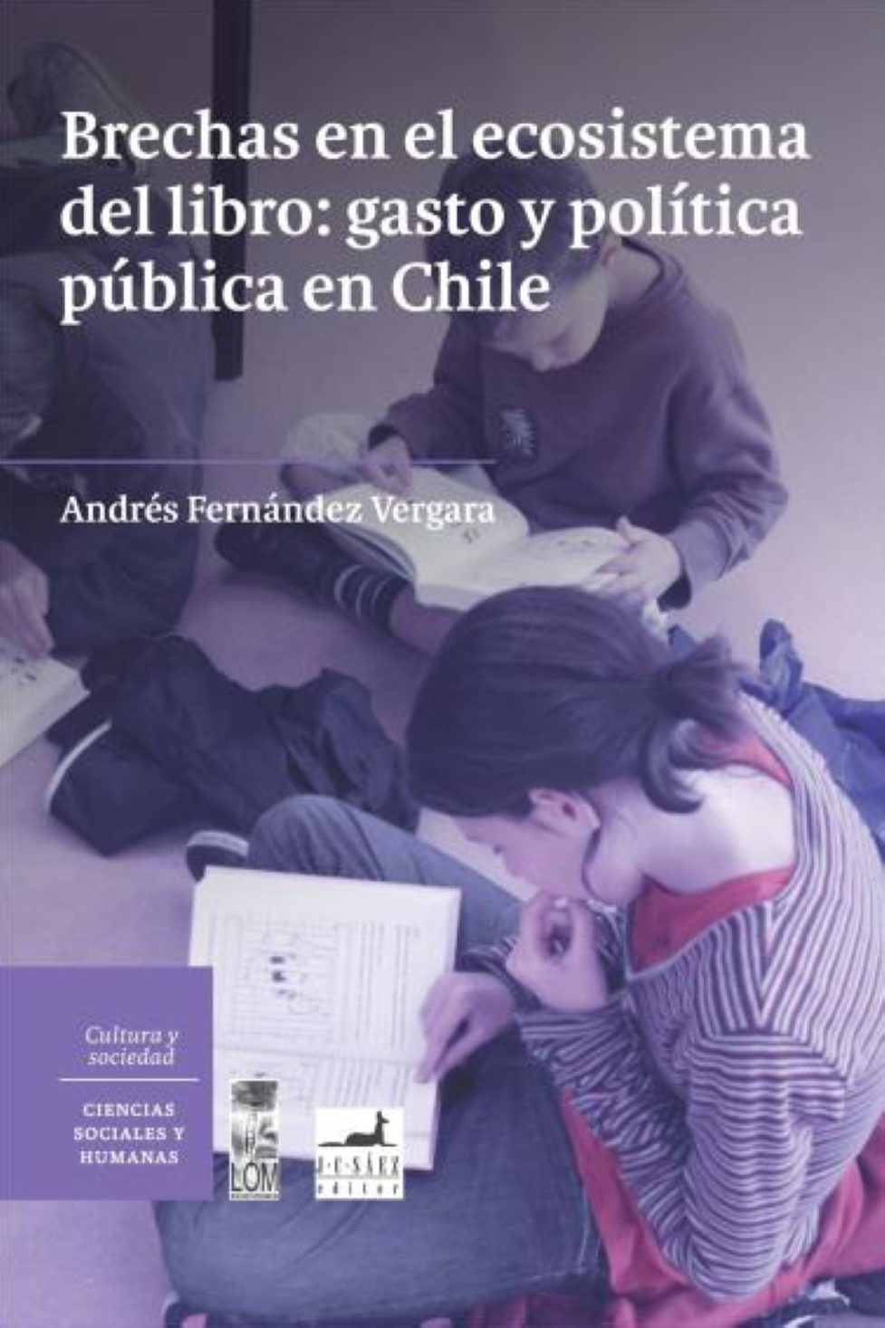 Brechas en el ecosistema del libro: gasto y política pública en Chile | Descarga el libro LOM en forma gratuita