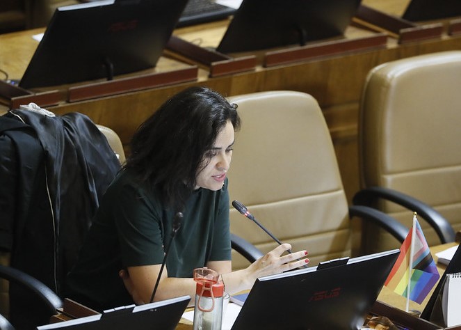 Diputada Morales rechazó el proyecto del 4%: “Excluye a cerca de la mitad de los jubilados”