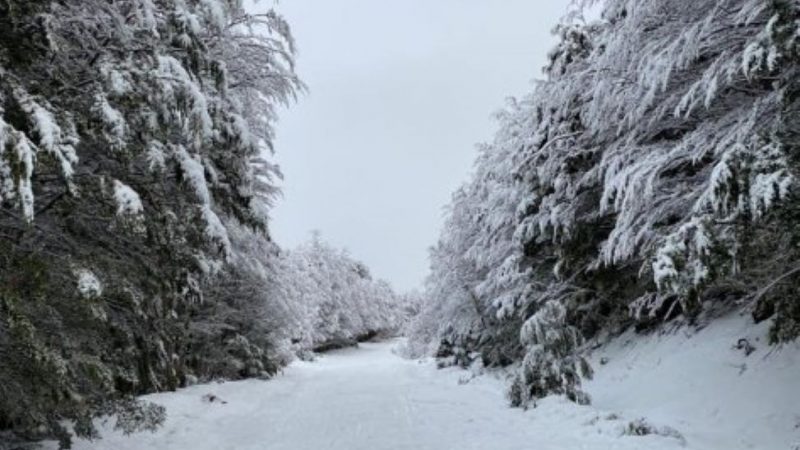 Chubascos de aguanieve y vientos hasta 90 kmh se pronostican este sábado 5 de agosto en Magallanes