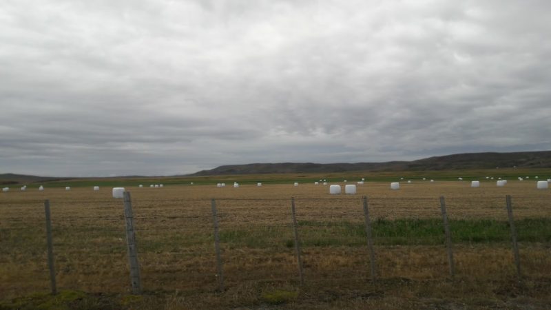Reserva de vida y fuente de alimentos: una nueva mirada de la agricultura en Magallanes para la conservación de los suelos