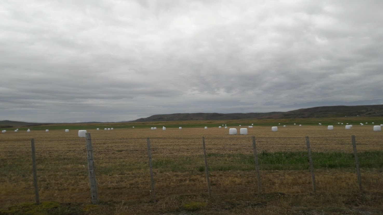 Reserva de vida y fuente de alimentos: una nueva mirada de la agricultura en Magallanes para la conservación de los suelos