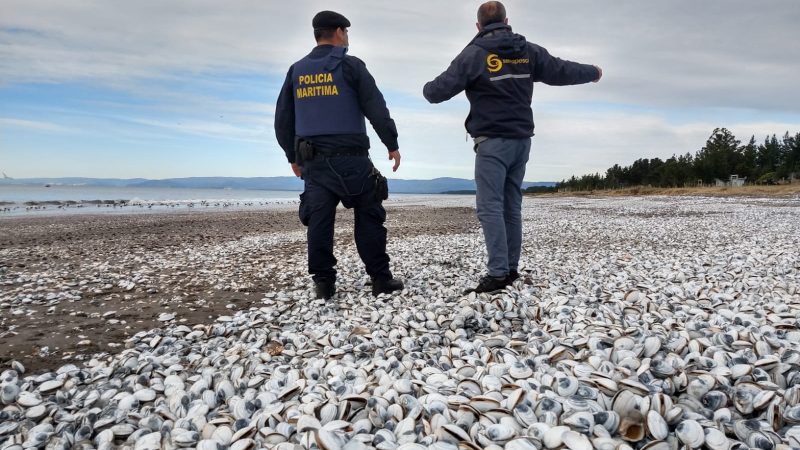 SERNAPESCA inició coordinación con organismos públicos y privados ante eventuales contingencias por la presencia del fenómeno El Niño