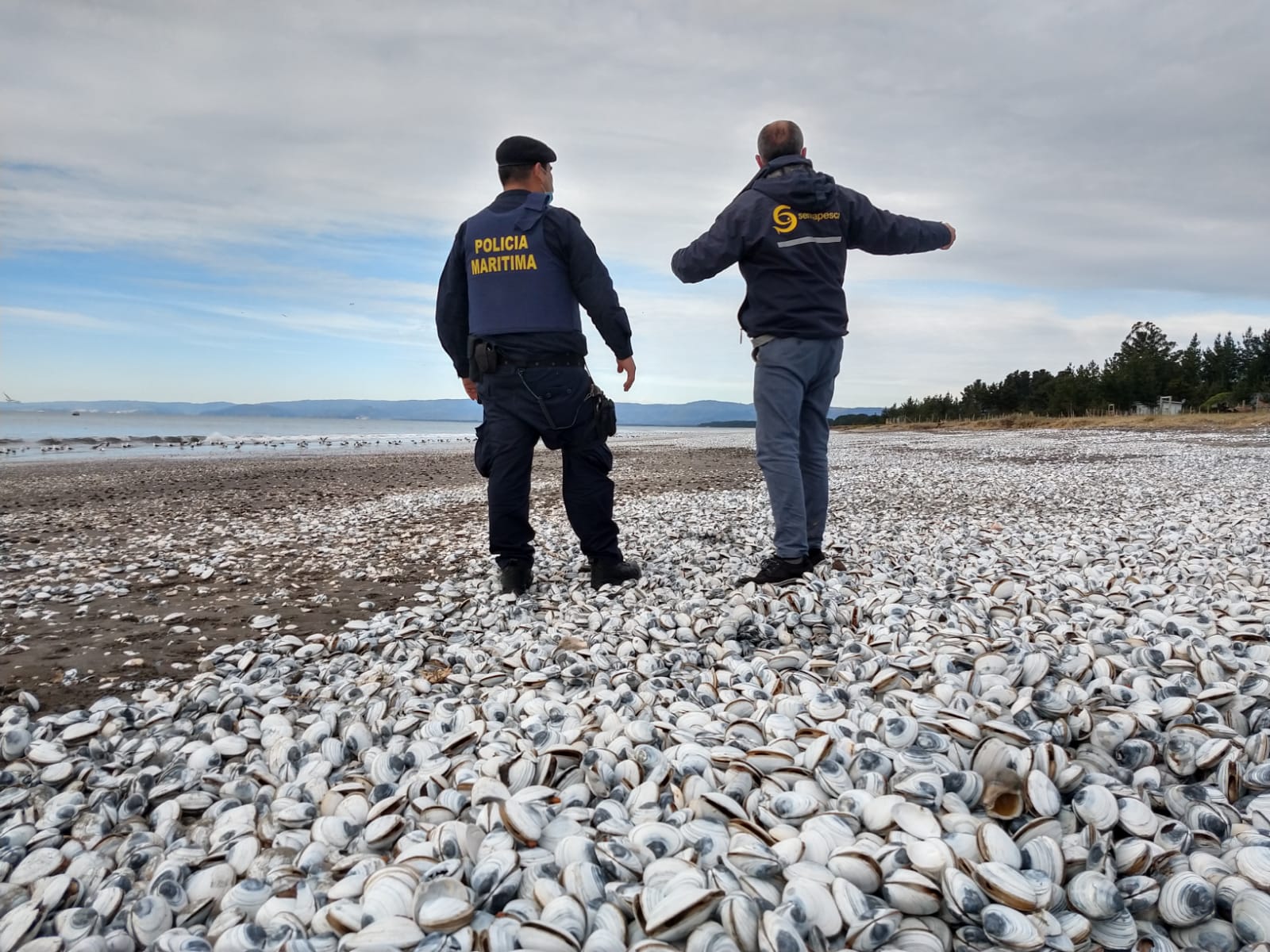 SERNAPESCA inició coordinación con organismos públicos y privados ante eventuales contingencias por la presencia del fenómeno El Niño