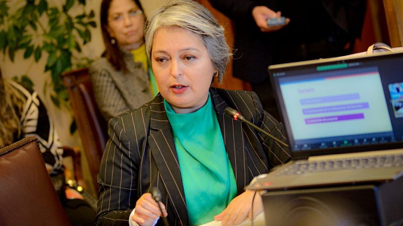 Ministra del Trabajo Jeannette Jara expone “Ley Karin” en Comisión de Trabajo del Senado tras ser despachada desde la Cámara de Diputados