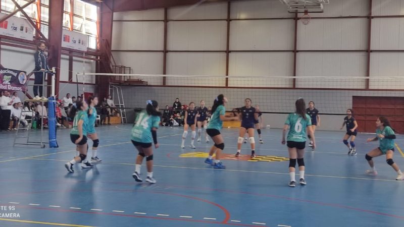 Resultados de equipos magallánicos en vóleibol  y básquetbol femenino en los Juegos Deportivos Escolares