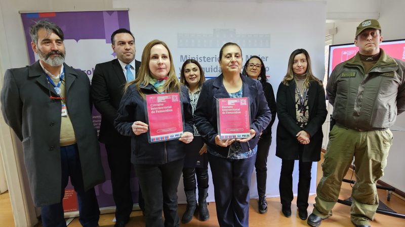 Circuito Intersectorial de Femicidios difunde su trabajo ante casos de violencia extrema en Magallanes