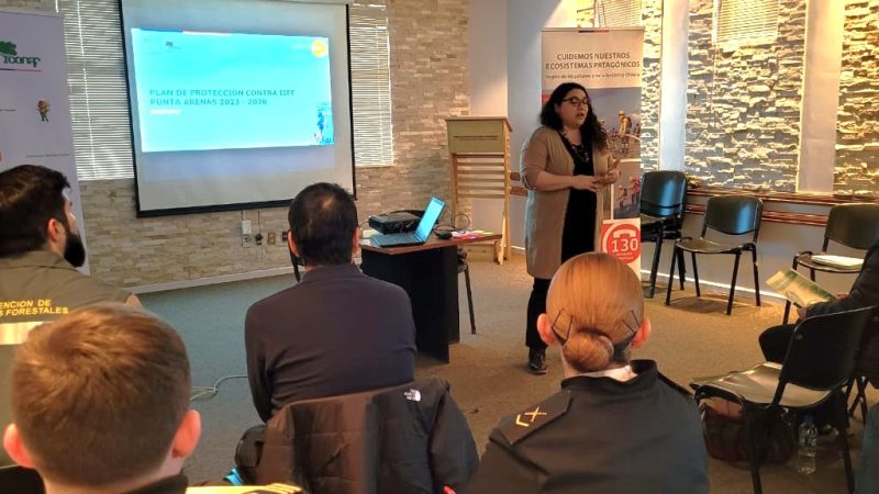 CONAF inicia proceso de actualización del plan contra incendios forestales para Punta Arenas