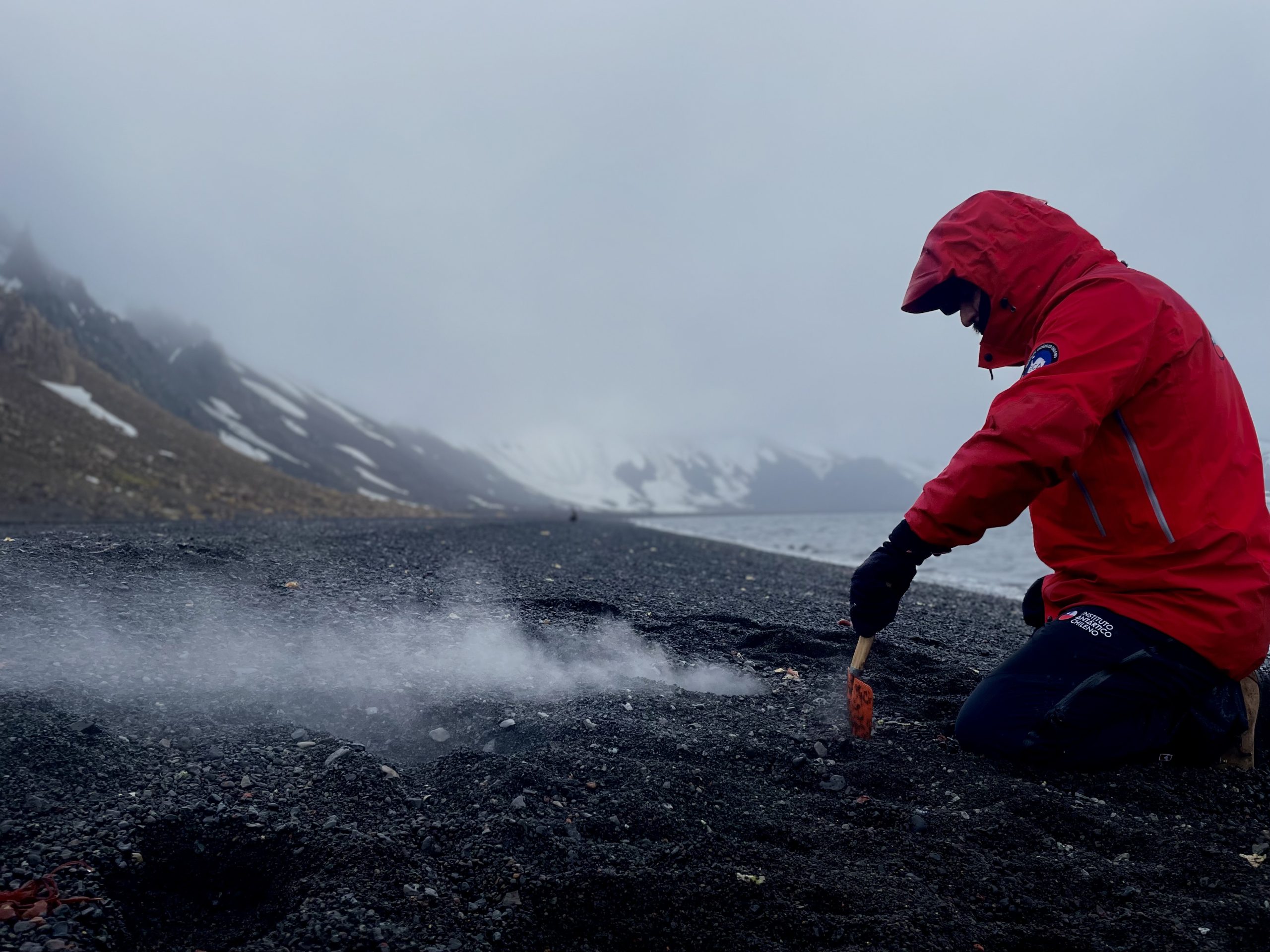 Ciencia Antártica: ¿Se pueden obtener aditivos alimenticios naturales desde la Antártica?