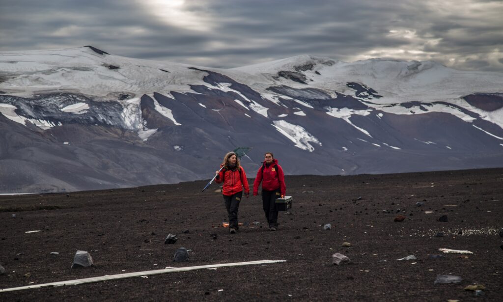 INACH capacitará en género a totalidad de participantes en Expedición Científica Antártica
