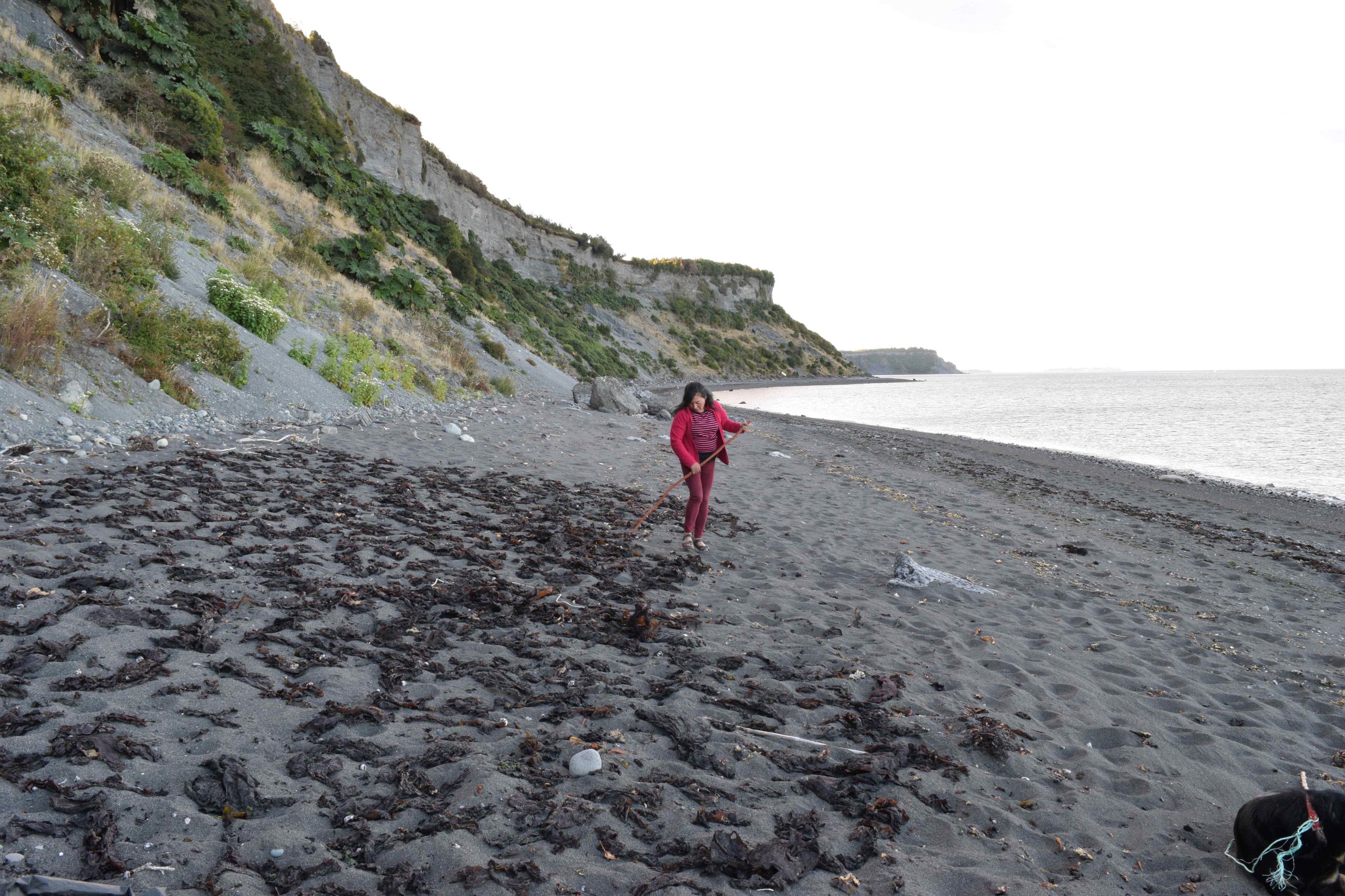 Investigadores develan la realidad de isleños e isleñas en Los Lagos y Aysén