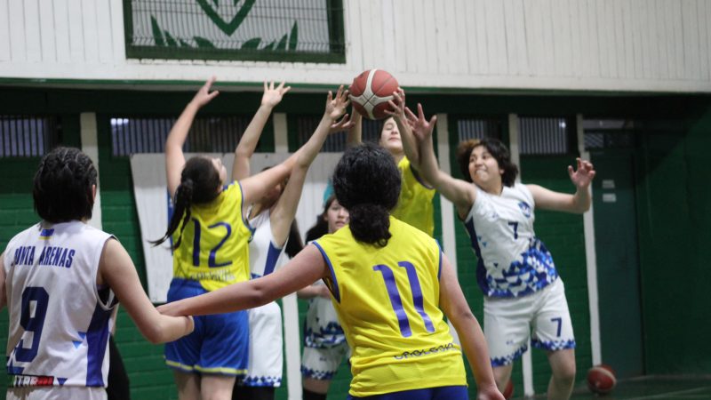 Básquetbol femenino en los Juegos Deportivos Escolares: Colegio Cholguán de Ñuble supera al Liceo Juan Bautista de Magallanes