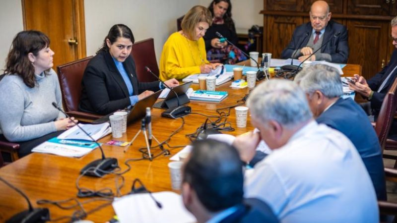 Subsecretaria Francisca Perales expone ante la Comisión de Zonas Extremas y Territorios Especiales del Senado