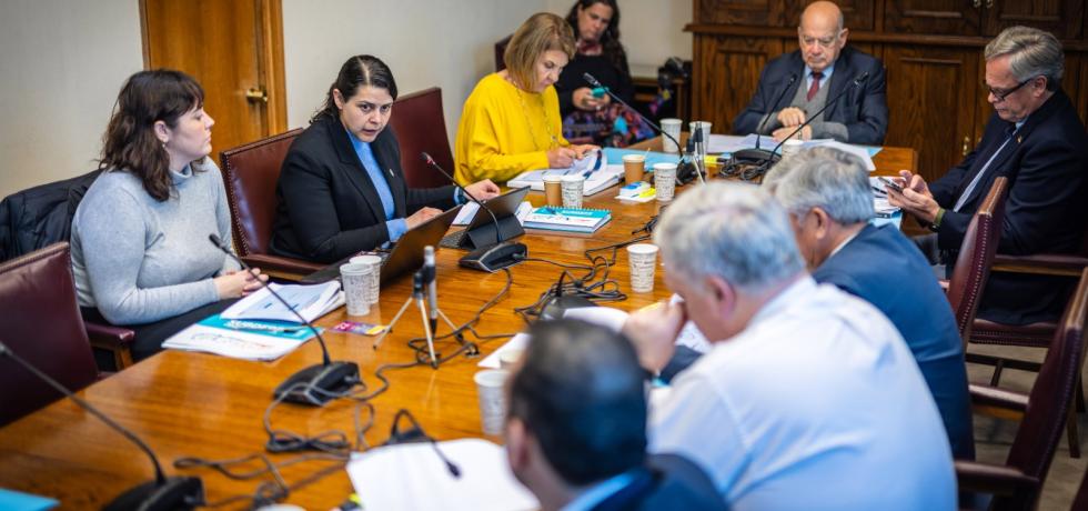 Subsecretaria Francisca Perales expone ante la Comisión de Zonas Extremas y Territorios Especiales del Senado