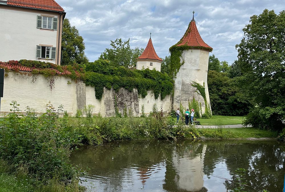 Centro IDEAL: Libros de divulgación científica sobre Magallanes y la Antártica llegan a importante biblioteca alemana de literatura infantil
