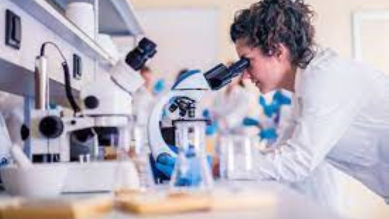 Tercera Radiografía de Género de MinCiencia: una de cada tres personas que hacen investigación en Chile son mujeres