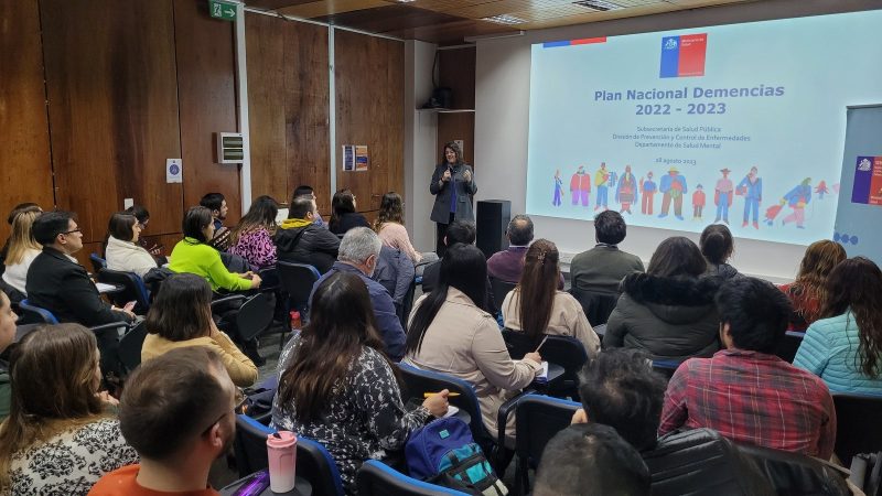SEREMI de Salud de Magallanes desarrolla jornada sobre Plan Nacional de Demencia y unidades de memoria