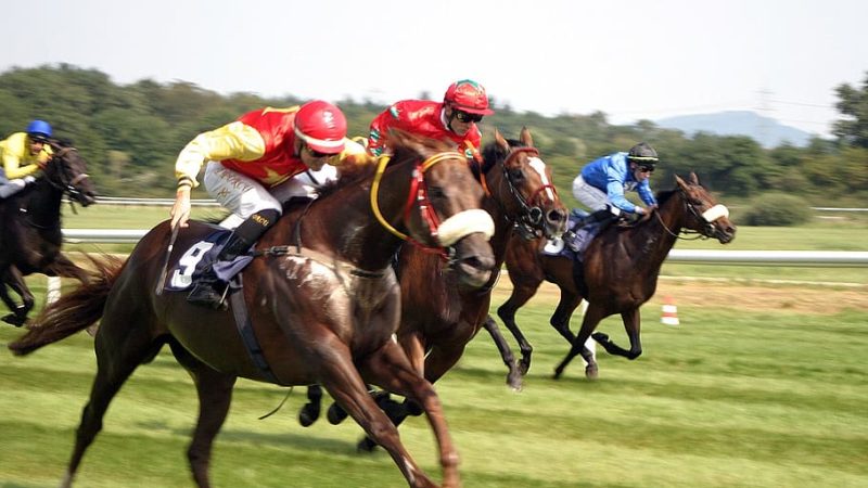 Estrellas en Ascenso: Los Caballos de Carreras de Japón Brillan en el Escenario Internacional