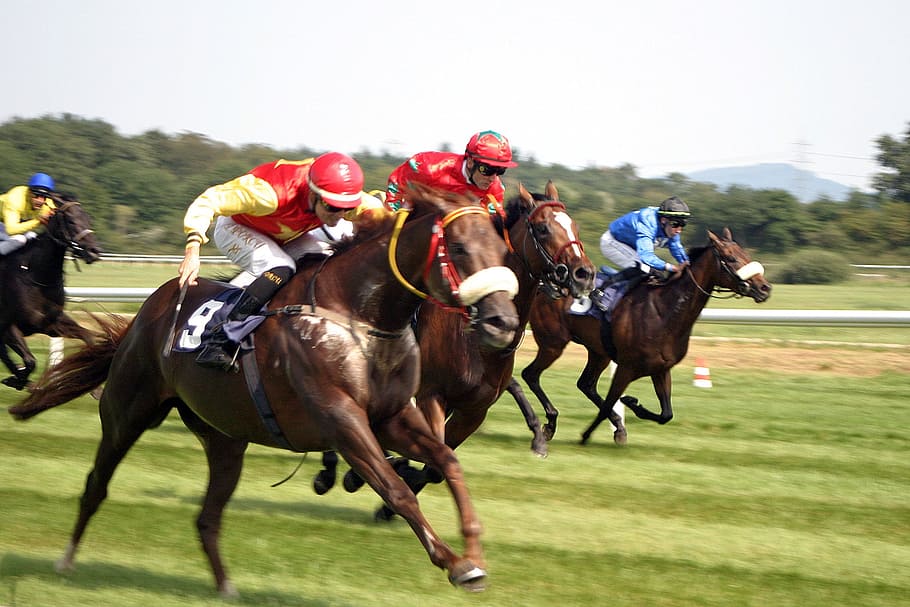 Estrellas en Ascenso: Los Caballos de Carreras de Japón Brillan en el Escenario Internacional