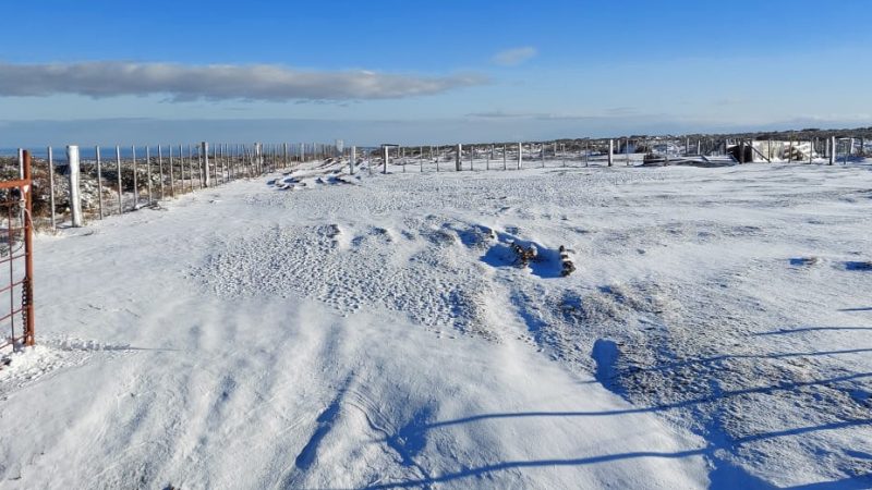 Chubascos, bajas temperaturas y vientos débiles se pronostican este lunes en Magallanes