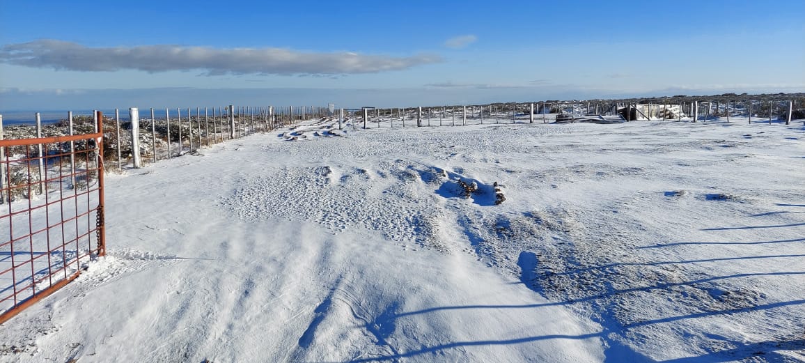 Chubascos, bajas temperaturas y vientos débiles se pronostican este lunes en Magallanes