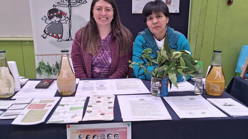 Feria de emprendedoras se realizó en Porvenir en conmemoración del Día de la Mujer Indígena