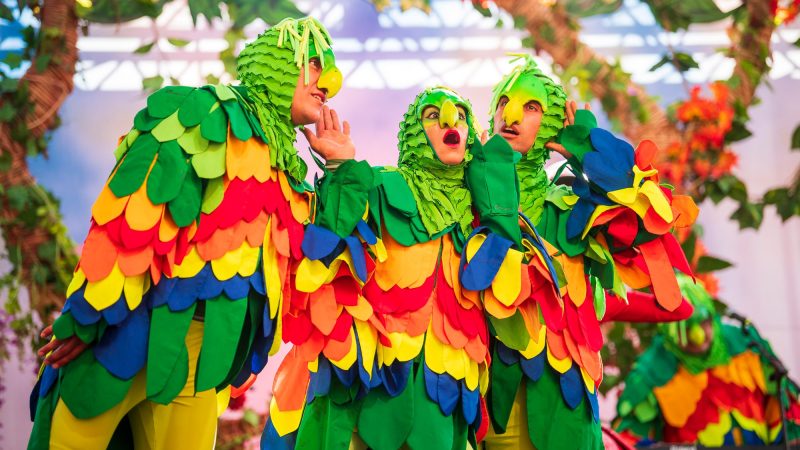El Gran Carnaval del Jardín se presenta este 12 de octubre en Porvenir