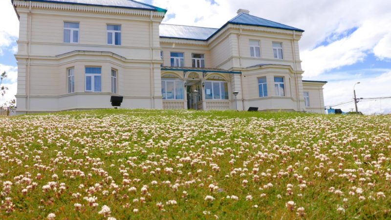 Corte de Apelaciones de Punta Arenas confirma decreto municipal que rechazó renovar patente de alcoholes a discoteque