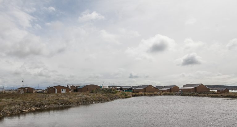 Centro de Cultivos Marinos de Bahía Laredo en Magallanes, un referente de investigación y desarrollo en acuicultura sustentable