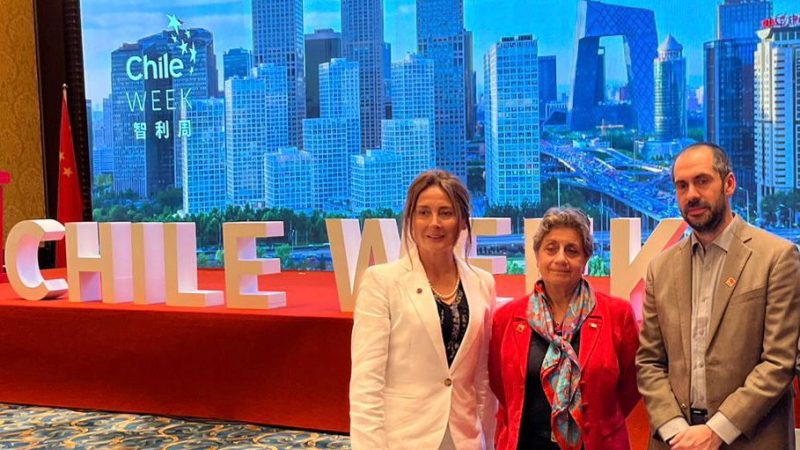 Culmina exitosa participación de H2V Magallanes AG en gira presidencial a China