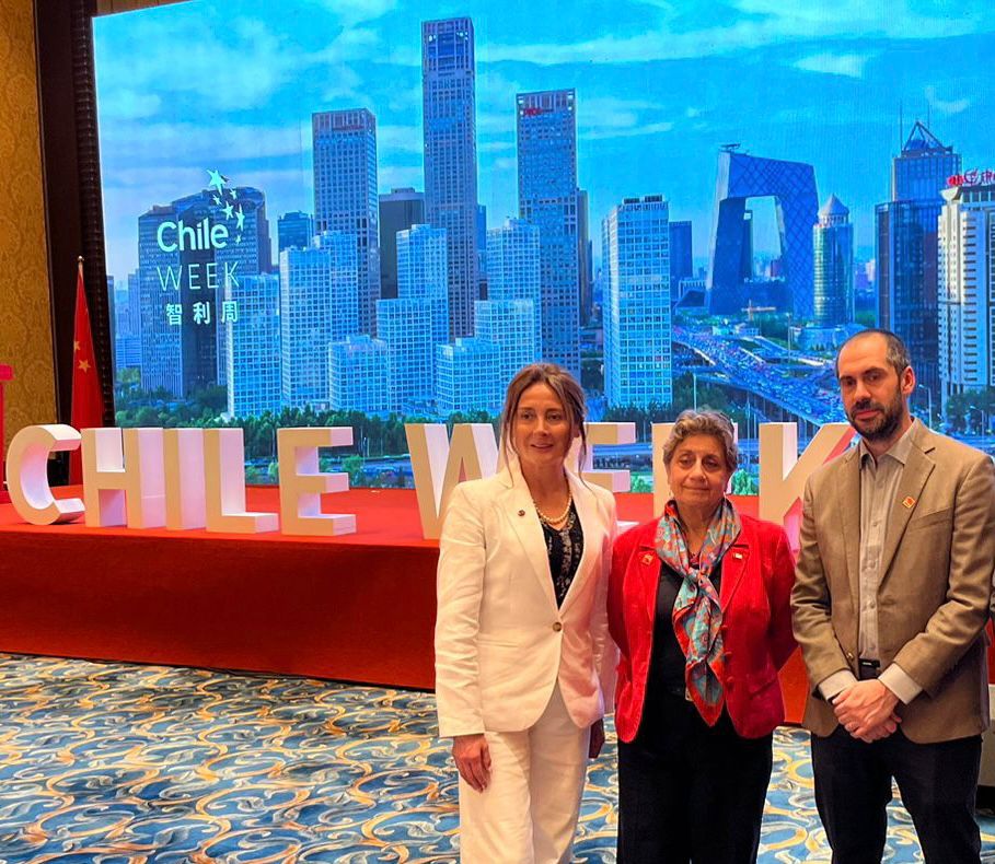 Culmina exitosa participación de H2V Magallanes AG en gira presidencial a China
