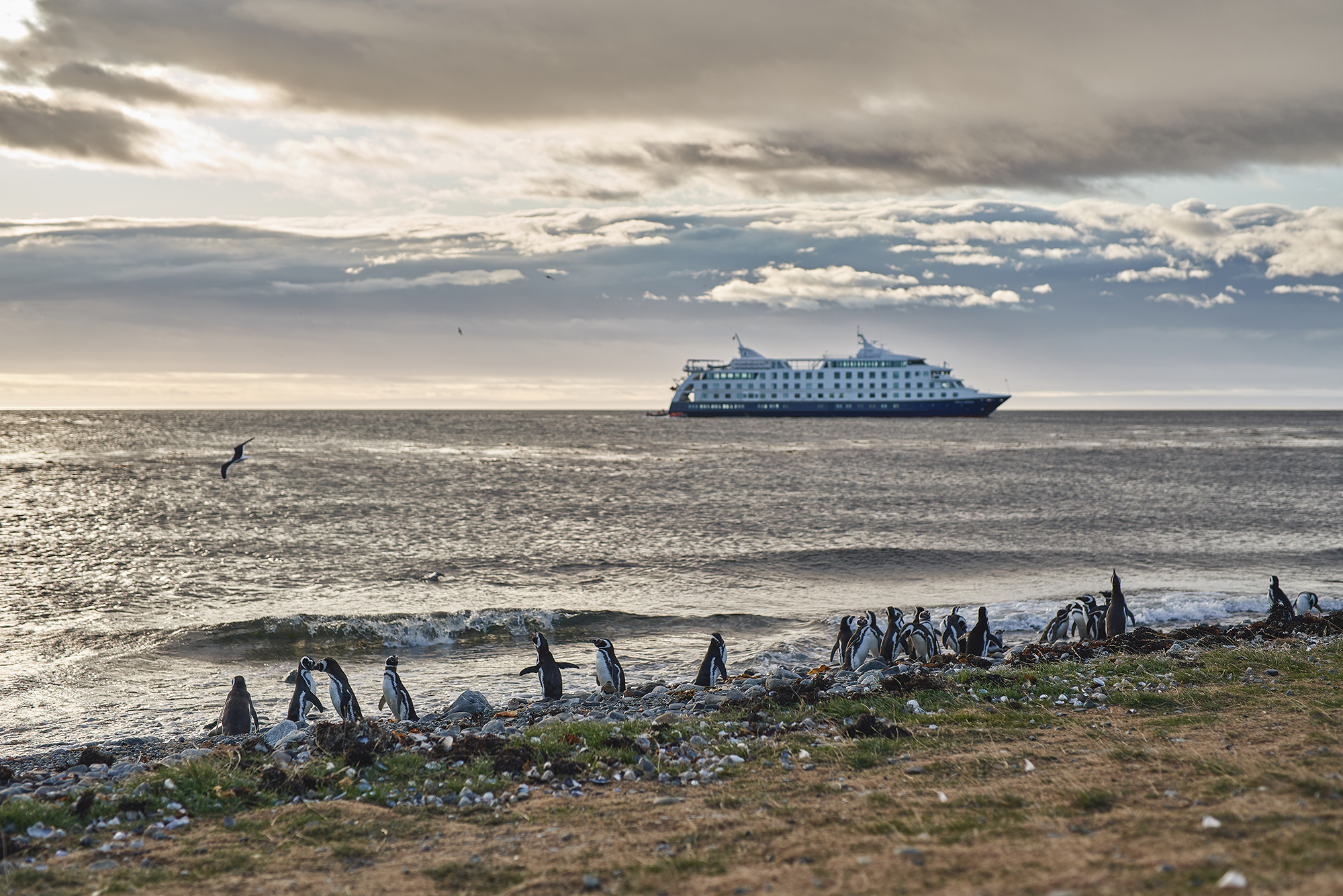 Cerca de 200 destacados actores emprendedores de Chile y el mundo se reunirán en la Patagonia chilena