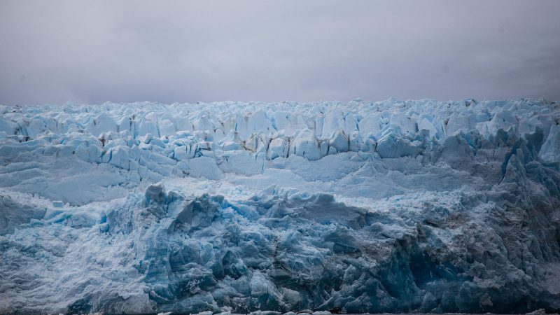 En el Día Nacional del Medioambiente: los cuatro desafíos más urgentes para nuestro país, según Greenpeace