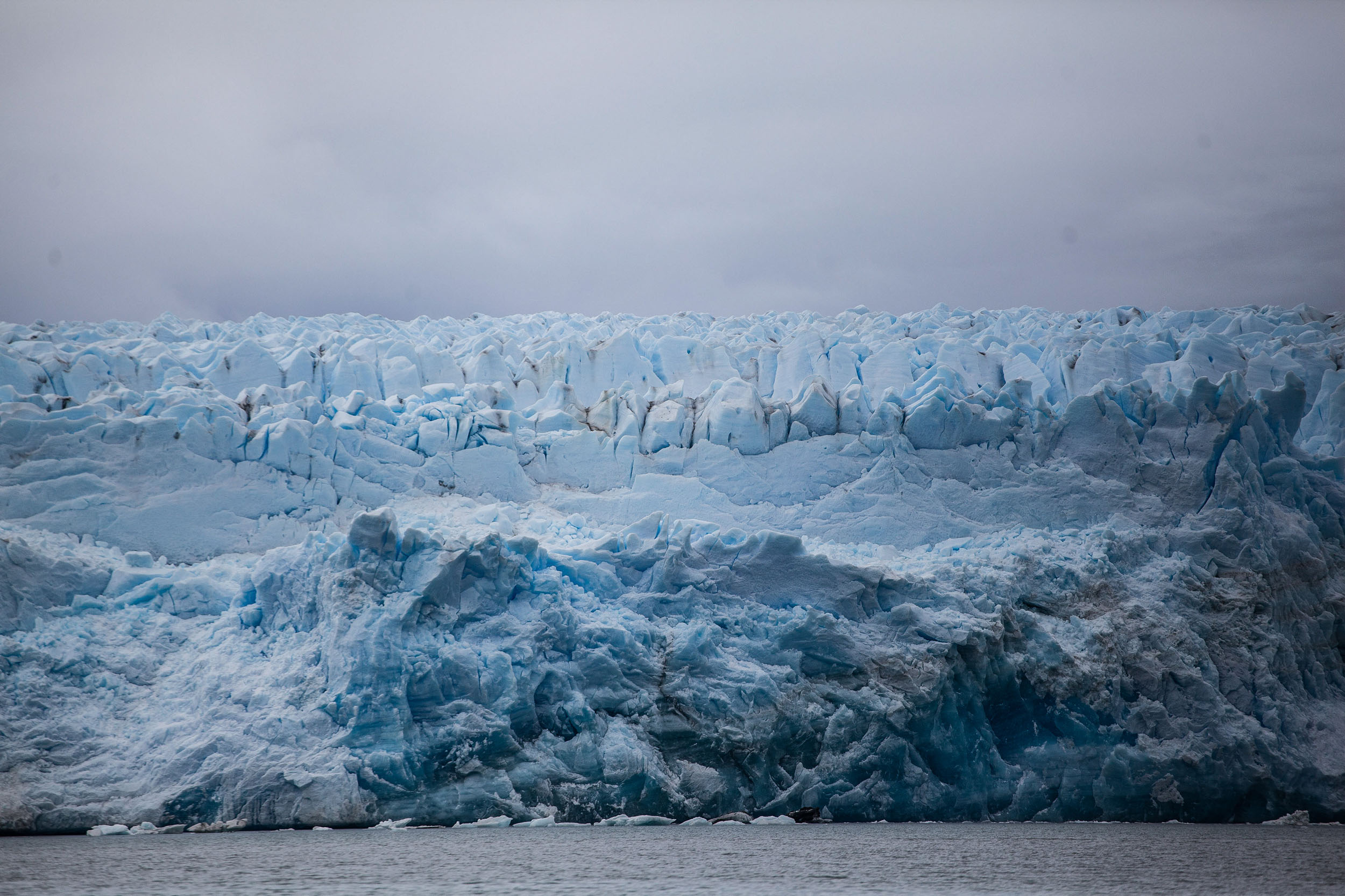 En el Día Nacional del Medioambiente: los cuatro desafíos más urgentes para nuestro país, según Greenpeace