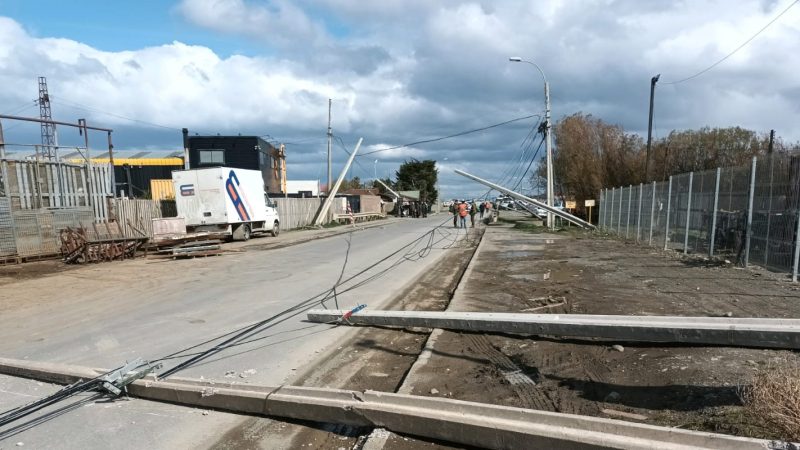 Camión derribó 8 postes en sector norte de Punta Arenas, EDELMAG inicio faenas de reposición de estructuras siniestradas.