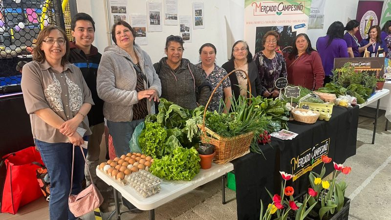 Feria Educativa en el Día Mundial de la Alimentación se efectuó en Punta Arenas