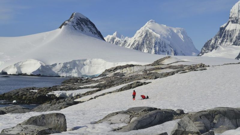 Trabajo científico del Centro IDEAL propone un modelo que describe el ensamble de las comunidades de las algas de nieve de la Antártica