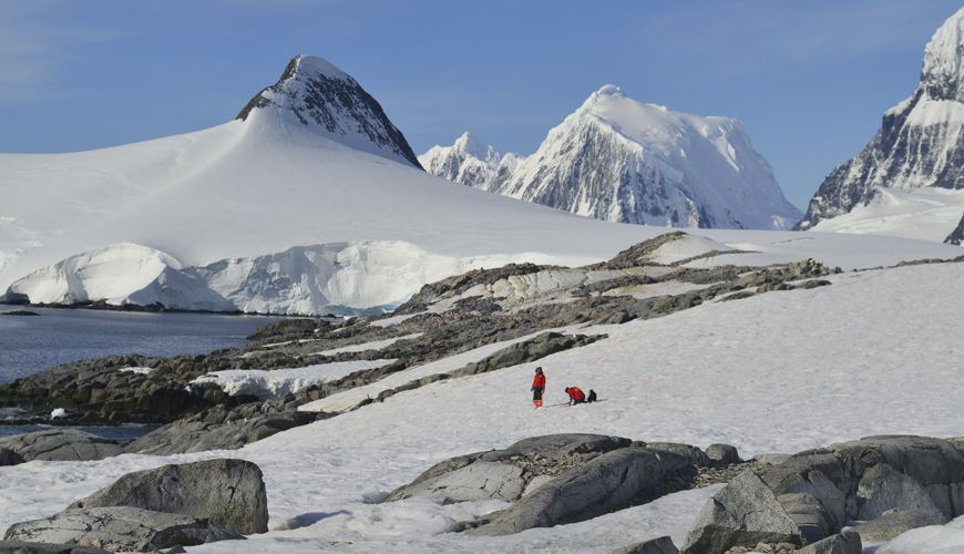 Trabajo científico del Centro IDEAL propone un modelo que describe el ensamble de las comunidades de las algas de nieve de la Antártica