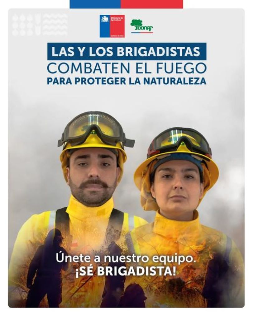 CONAF mantiene abierto el proceso de selección de brigadistas para la temporada 2023-2024