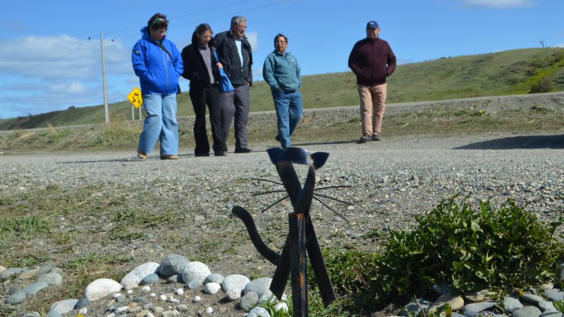 Vecinos de Agua Fresca al sur de Punta Arenas, solicitan a Bienes Nacionales instalar un cementerio de mascotas